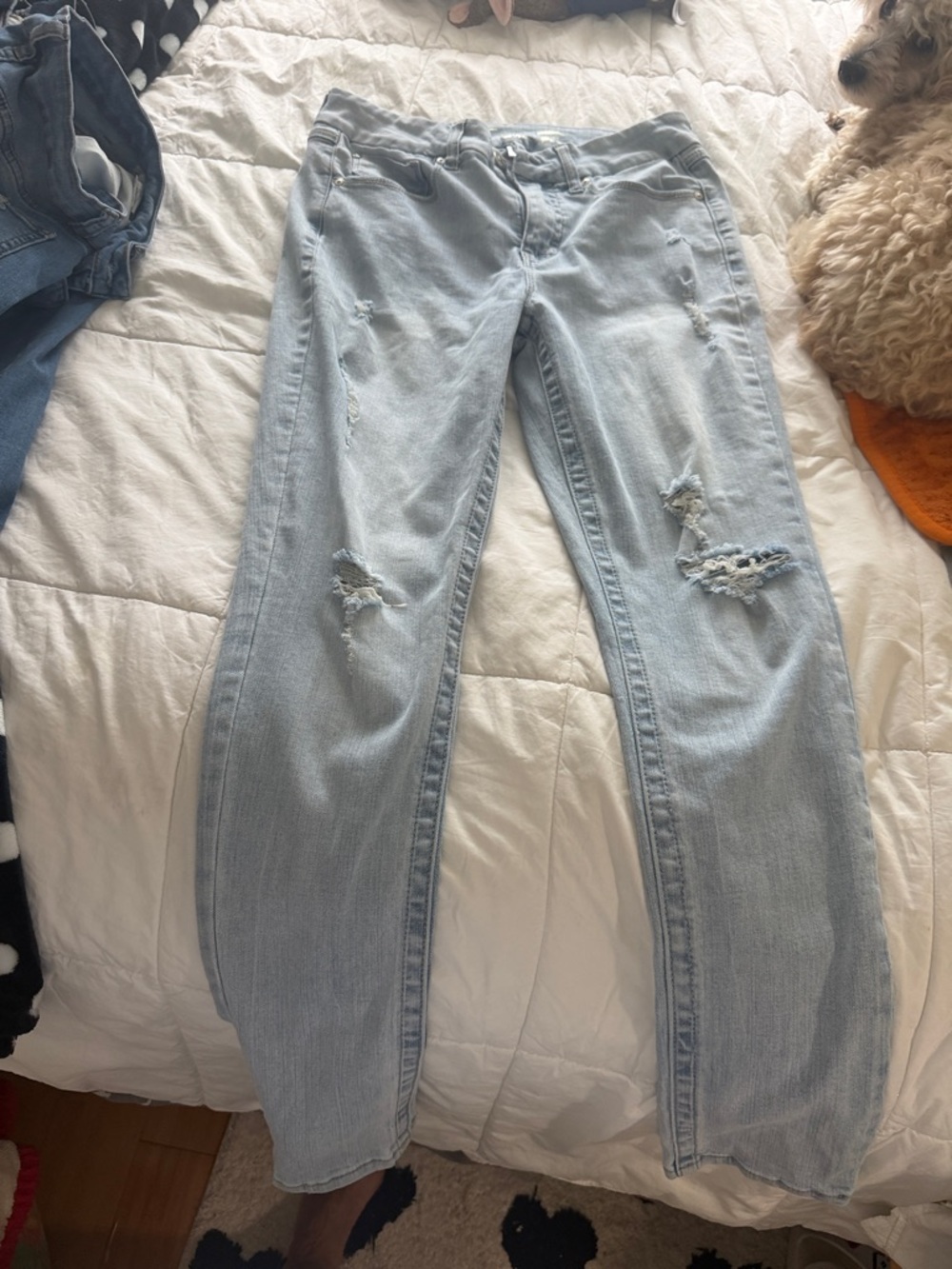 Seven7 Light Blue Distressed Boyfriend Jeans